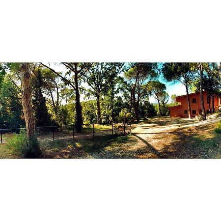 Agriturismo Poggio Al Pino Montelupo Fiorentino Exterior foto