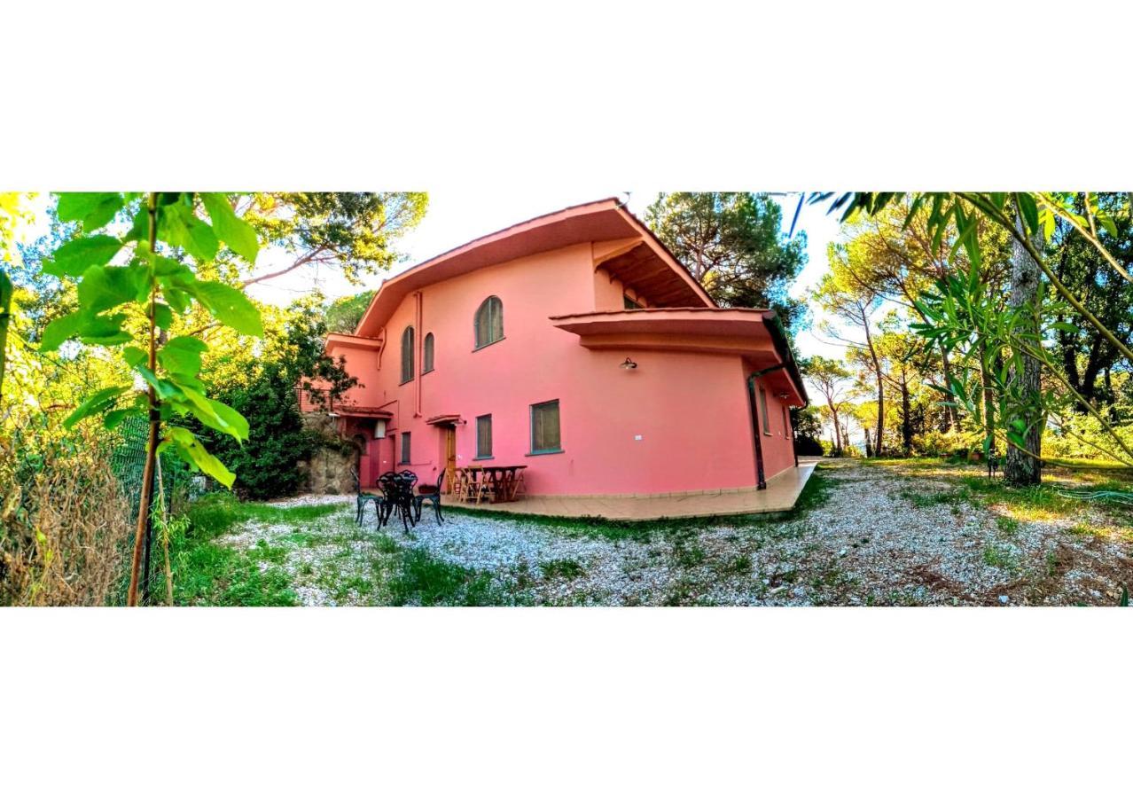 Agriturismo Poggio Al Pino Montelupo Fiorentino Exterior foto