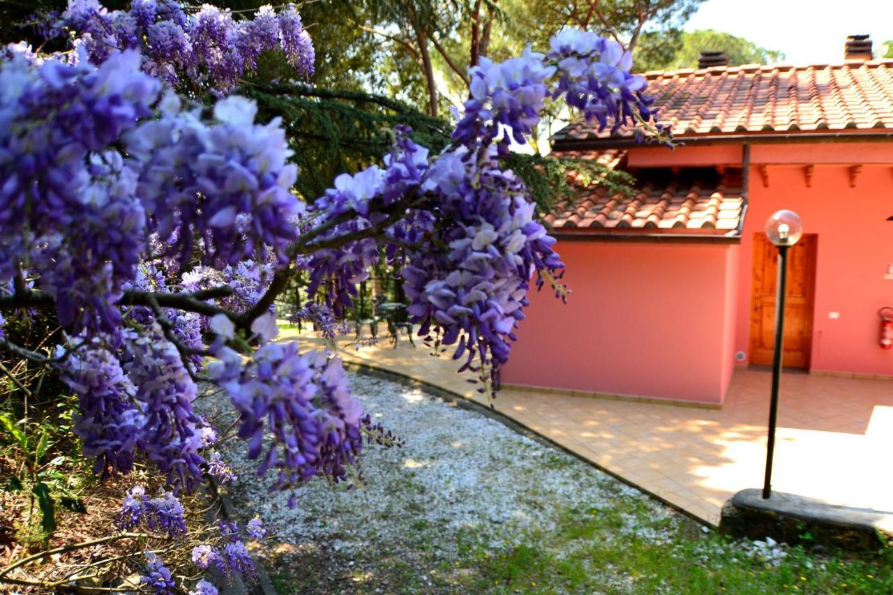 Agriturismo Poggio Al Pino Montelupo Fiorentino Exterior foto